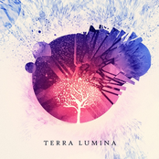 The Tree Of Life by Terra Lumina