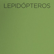 Lepidópteros