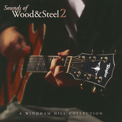 Sounds of Wood & Steel II