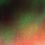 Will You Please Be Quiet Please