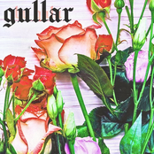 Gullar