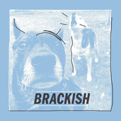 Brackish: Brackish