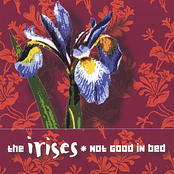 If I Was A Boy by The Irises