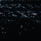 Chained To Your Garden