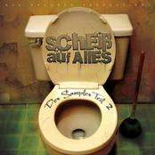 Scheiß Auf Alles - Der Sampler 2