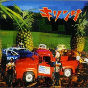 ペーパー・ドライヴァーズ・ミュージック