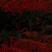 And There Your Name Was