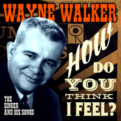 All I Can Do Is Cry by Wayne Walker