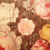 Thunder, Perfect Mind [single]