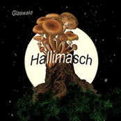 Hallimasch