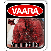 Vaara: Ampumatulta (Hylsyperäisen vaikutuksen aiheuttama kranion ja siihen liittyvien elinjärjestelmien patologinen dekonstruoiva trauma)