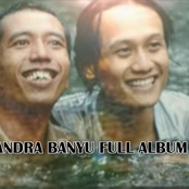 Banyu