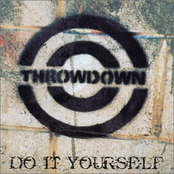 Been On This Earth by Throwdown