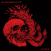 Blue Hummingbird On The Left - Atl Tlachinolli