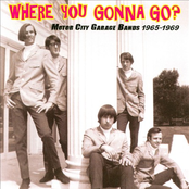 Where You Gonna Go? (Motor City Garage Bands 1965-1969)
