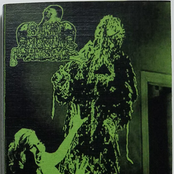 The Estrogenic Disgust Session