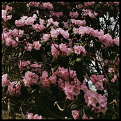 Discography 2016-2017