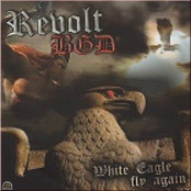 White Eagle fly again