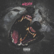 Wolves - Single