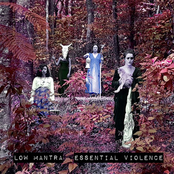 Essential Violence
