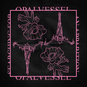 Searching For An Apparition