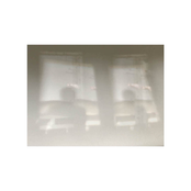 Singapore in My Bones