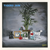 Tigers Jaw: Spin