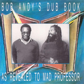 Bob Andy's Dub Book