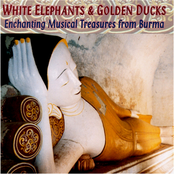 White Elephants & Golden Ducks