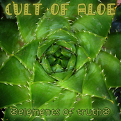 cult of aloe