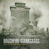 Brushfire Stankgrass: City Of A Thousand Hills