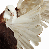 Music for Etudes N°18 - Spring Summer 2021