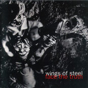 Wings of Steel: FACE THE TRUTH