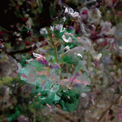 Shiminkai / 嗜眠会