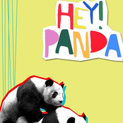 hey! panda