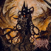 Delusions of Reticulated Infinity