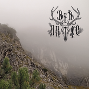 Zurück in die Waldwacht