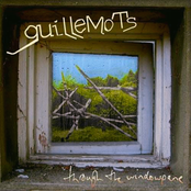 Come Away With Me by Guillemots