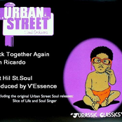 Urban Street Soul Orchestra -  Slice Of Life