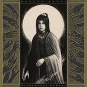 Until Liars Fear You