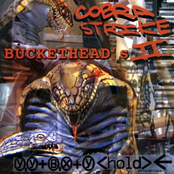 Cobra Strike II: Y, Y+B, X+Y <hold>