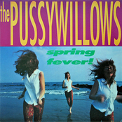 Turn Her Down by The Pussywillows