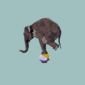 Ollie Joseph: Elephants