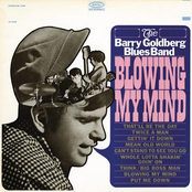 Think by The Barry Goldberg Blues Band