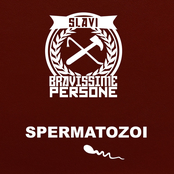 Spermatozoi