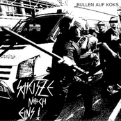 Bullen auf Koks