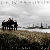 Catastrophe by The Jim Jones Revue