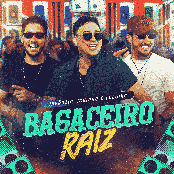 Bagaceiro Raiz