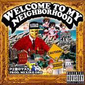 Welcome To My Neighborhood