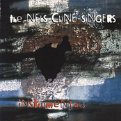 Slipped Away by The Nels Cline Singers